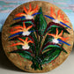 Bird of paradise