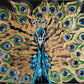 Golden peacock